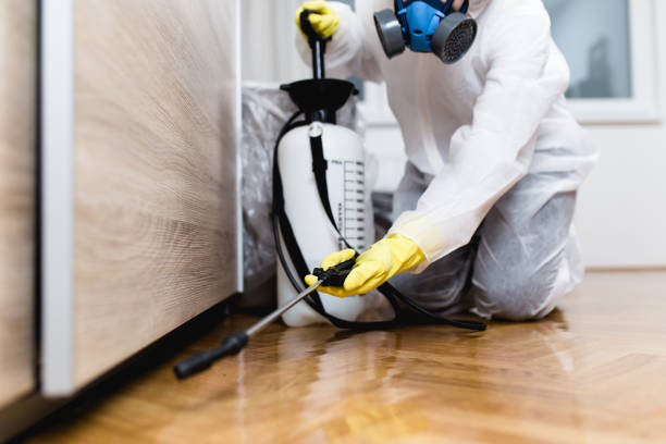 Trusted Mitchellville, MD Pest Control Experts