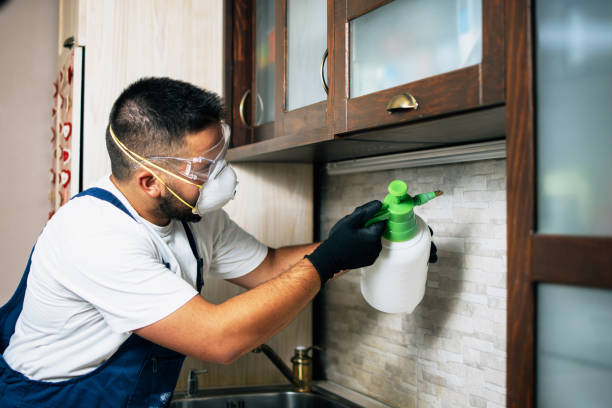 Best Mosquito Control Services  in Mitchellville, MD