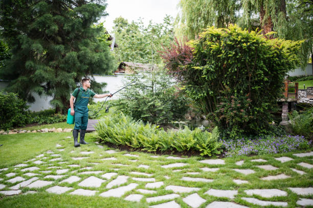 Best Pest Prevention Services  in Mitchellville, MD