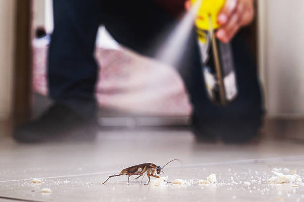 Best Pest Inspection Near Me  in Mitchellville, MD