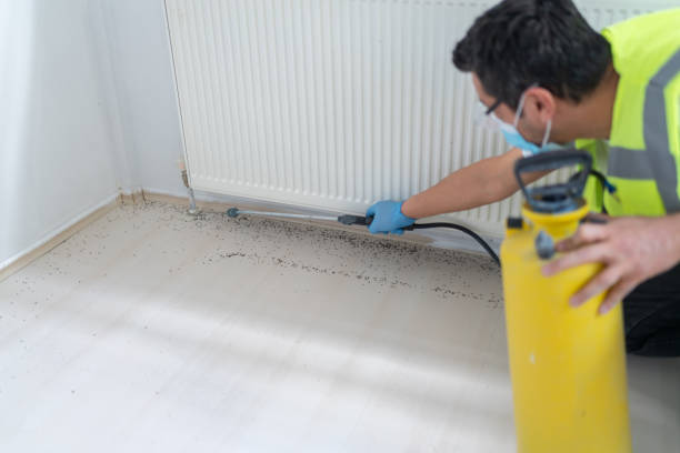 Best Wasp Removal Services  in Mitchellville, MD